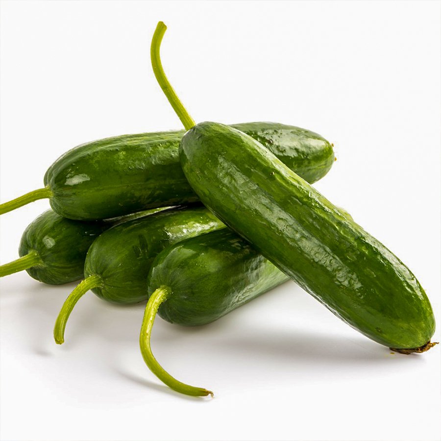 Ufak Taneli Badem Salatalık Fidesi-5 Adet