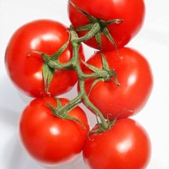 Bol Dökümlü İnvictus Domates Tohumu-3 Gram
