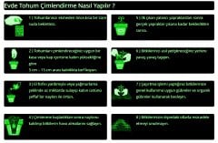 F1 Acı Şili Biber Tohumu-20 Tohum