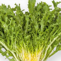 Hindiba Acı Marul Güneyik Tohumu-5 Gram