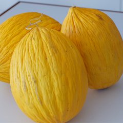 Kışlık Sarı Kavun Tohumu-10 Gram