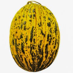 Aranan Çeşit Kırkağaç 589 Kavun Tohumu-10 Gram