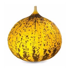 Altınbaş Kırkağaç 637 Kavun Tohumu-10 Gram