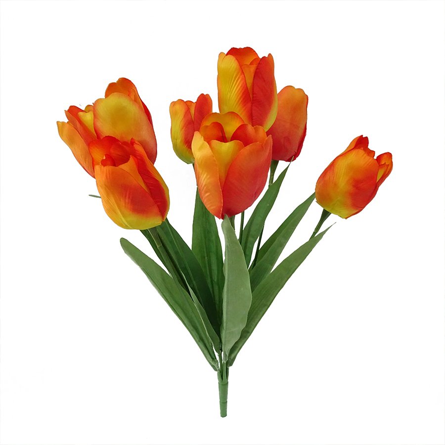 Sarı Turuncu Orange Lion Lale Soğanı-5 Adet