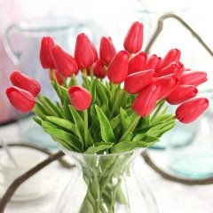 Pink Christmas Carol Lale Soğanı-5 Adet