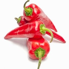 Konserve Közlemelik Kapya Biber Fidesi-5 Adet