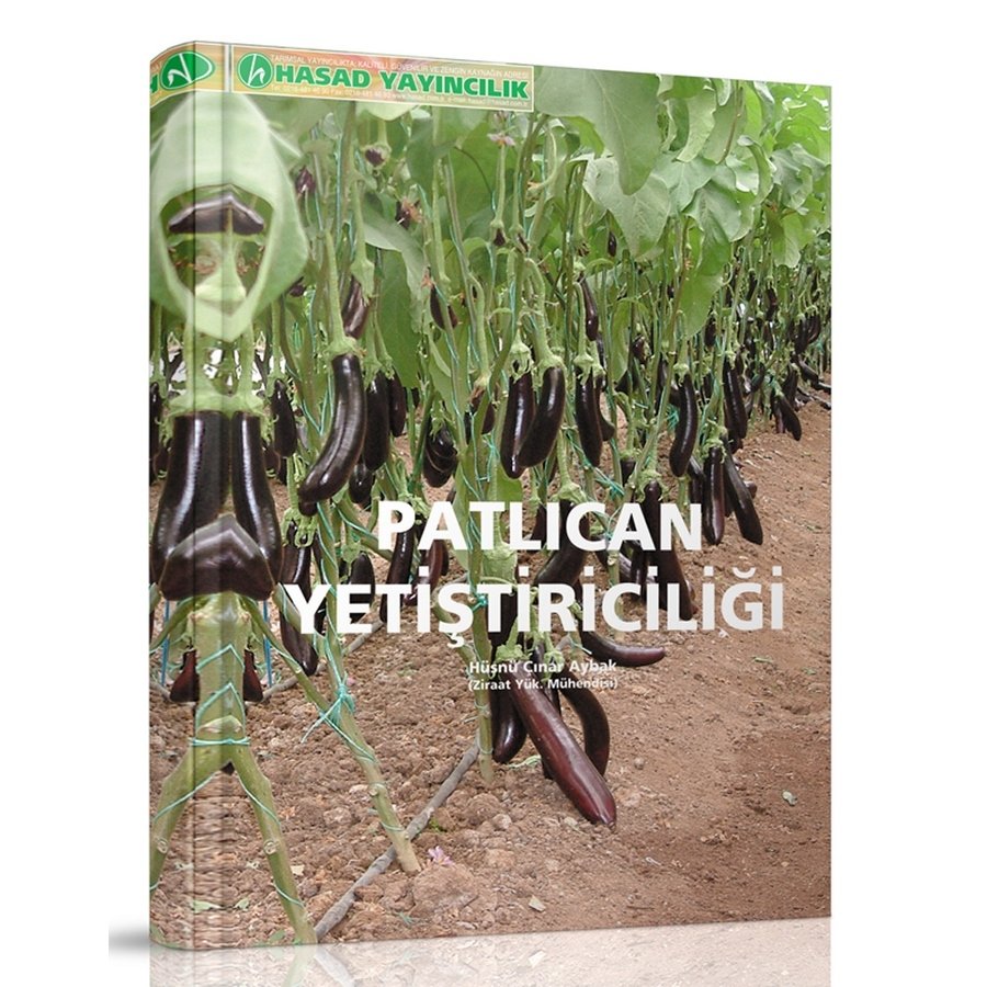 Patlıcan Yetiştiirciliği Hakkında Bilgiler Kitabı