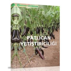 Patlıcan Yetiştiirciliği Hakkında Bilgiler Kitabı