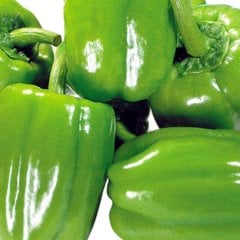 Bol Dökümlü Kandil Dolmalık Biber Tohumu-10 Gram