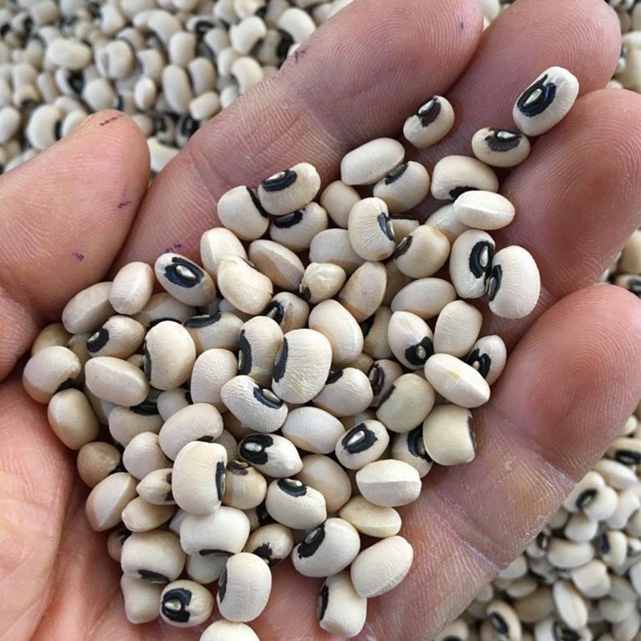 Lezzetli Börülce Tohumu-25 Gram