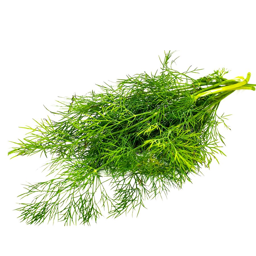 Aromatik Kokulu Dere Otu  Tohumu-25 Gram