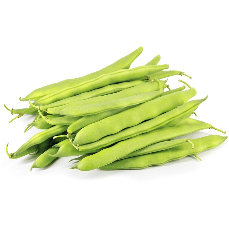Yeni Çeşit Miray Fasulye Tohumu-50 Gram