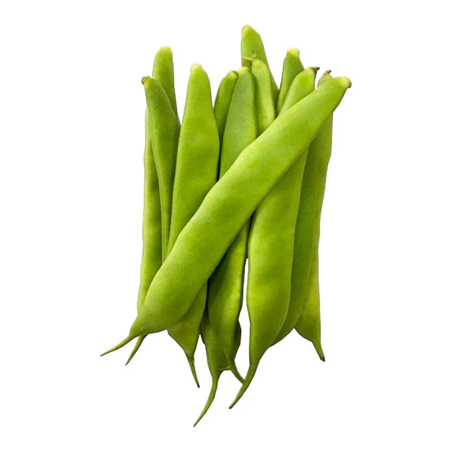 Eski Çeşit Sarıkız Fasulye Tohumu-50 Gram
