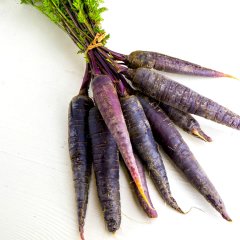 Şalgamlık Mor Siyah Havuç Tohumu-10 Gram