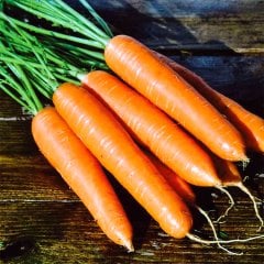 Hızlı Gelişen Nantes Havuç Tohumu-10 Gram