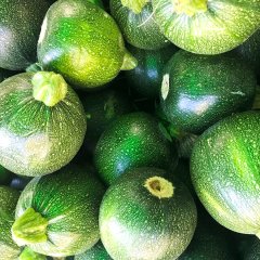 Dolmalık Topak Kabak Tohumu-10 Gram
