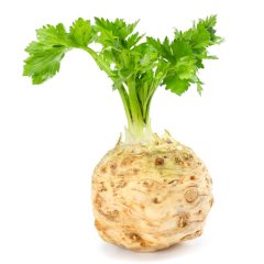 Kök Kreviz Tohumu-10 Gram