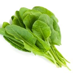 Kuzukulağı Ekşi Ot Tohumu-5 Gram