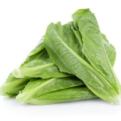 Gevrek Çıtır Paris Island Marul Tohumu-10 Gram