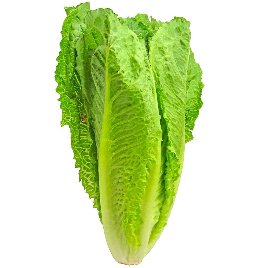 Soğuklara Dayanıklı Yedikule Marul Tohumu-10 Gram