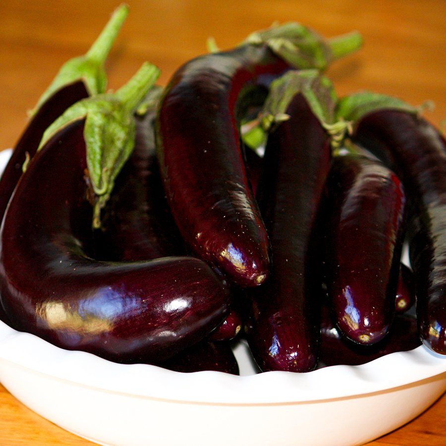 Halep Karası Patlıcan Tohumu-10 Gram