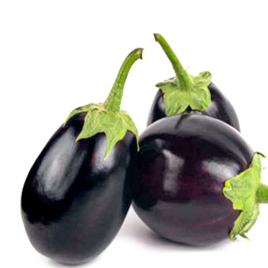 Topan Topak Patlıcan Tohumu-10 Gram