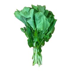 Geniş Yapraklı Roka Tohumu-25 Gram