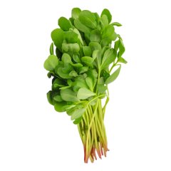 Doğal Naturel Semizotu Tohumu-10 Gram