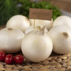 Beyaz Doğal Naturel Soğan Tohumu-5 Gram