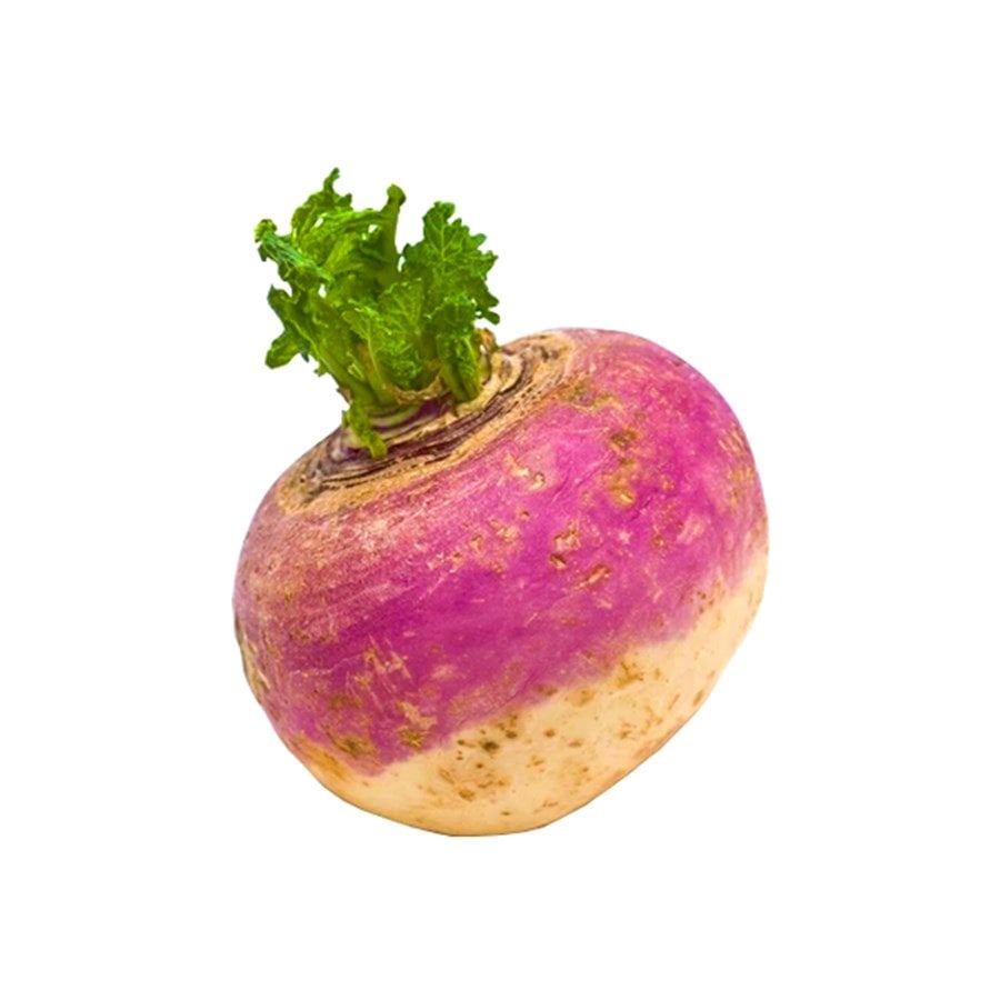 İçi Beyaz Dışı İki Renkli Şalgam Tohumu-10 Gram