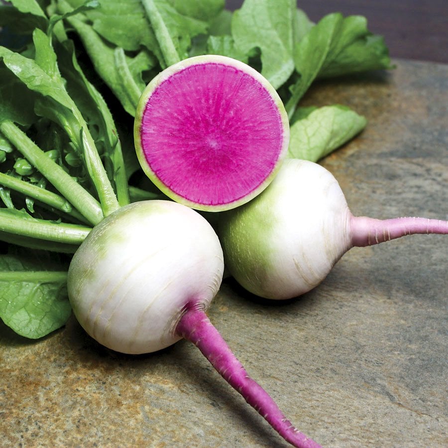 Dışı Beyaz İçi Kırmızı Pembe Çin Turp Tohumu-10 Gram