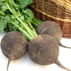Siyah Naturel Doğal Turp Tohumu-25 Gram