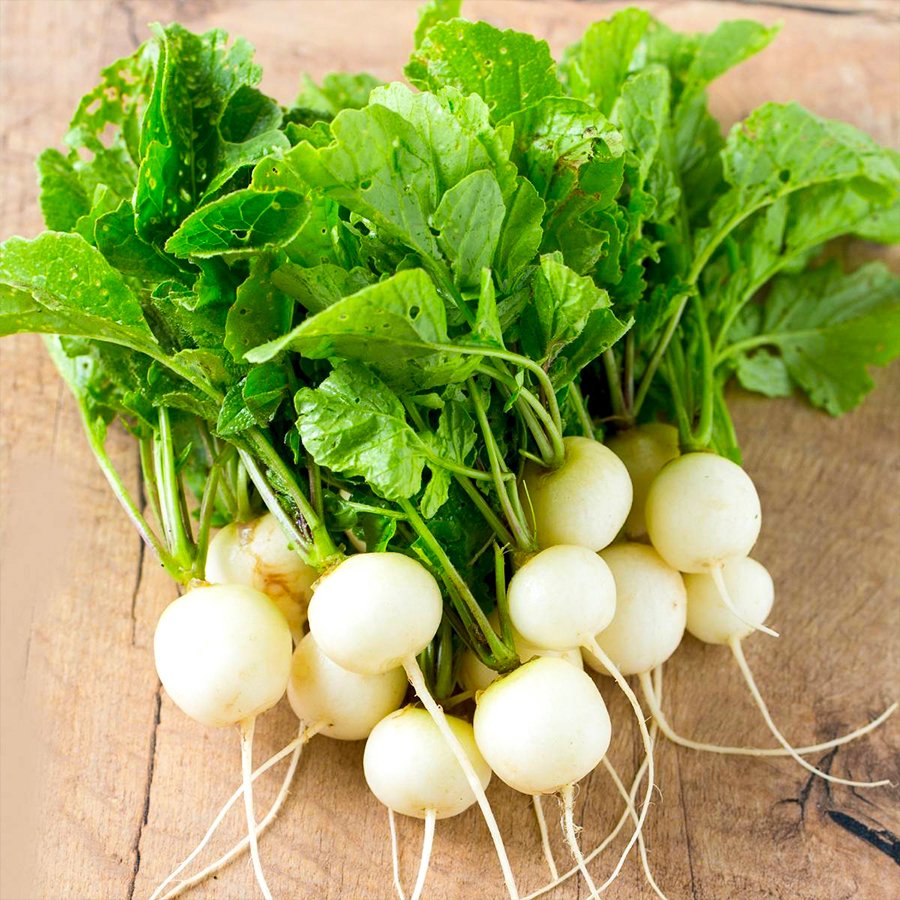 Büyük Meyveli Naturel Doğal Beyaz Turp Tohumu-25 Gram