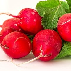 İri Meyveli Kırmızı Naturel Doğal Turp Tohumu-25 Gram