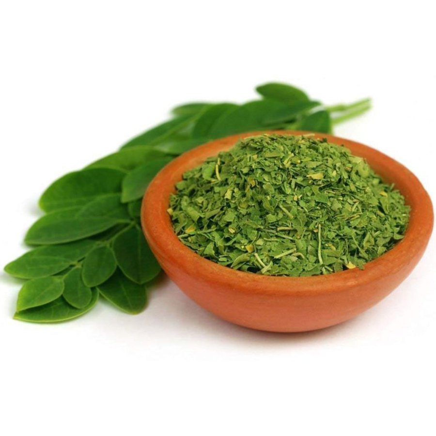 Tüplü Mucizevi Bitki Moringa Ağacı Fidanı (20-30 cm)