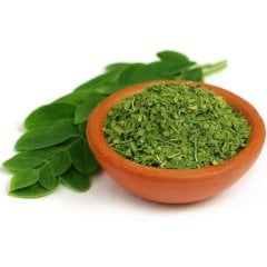 Tüplü Mucizevi Bitki Moringa Ağacı Fidanı (20-30 cm)