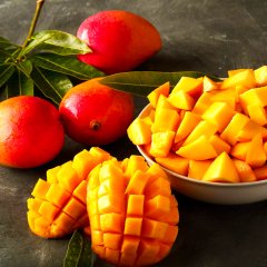Tüplü Tropikal Egzotik Mango Fidanı 5 Adet