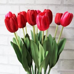 Kırmızı Red İmpression Lale Soğanı-5 Adet