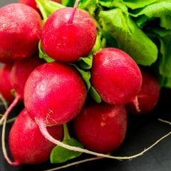 Kırmızı Fındık Turp Fidesi - 5 Adet