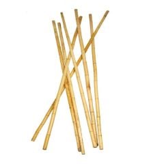 Antibakteriyel Bambu Fidan Destek Çubuğu-120 cm (10 Adet)