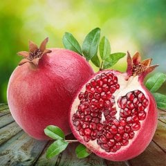 Tüplü Harika Çeşit Wonderful Nar Fidanı