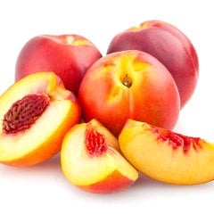 Tüplü Yarı Bodur Lezzetli Sweet Lady Nektarin Fidanı