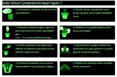 Naturel İnce Yapraklı Hatay Tere Tohumu-25 Gram