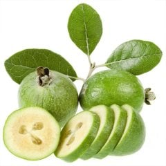 Tüplü Feijoa Kaymak Meyvesi Fidanı