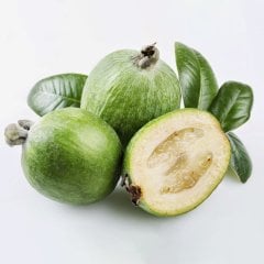Tüplü Feijoa Kaymak Meyvesi Fidanı