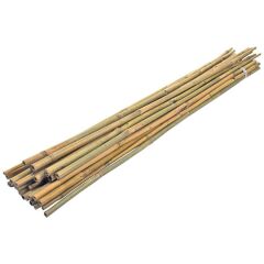 bambu çubuk 10adet 100cm