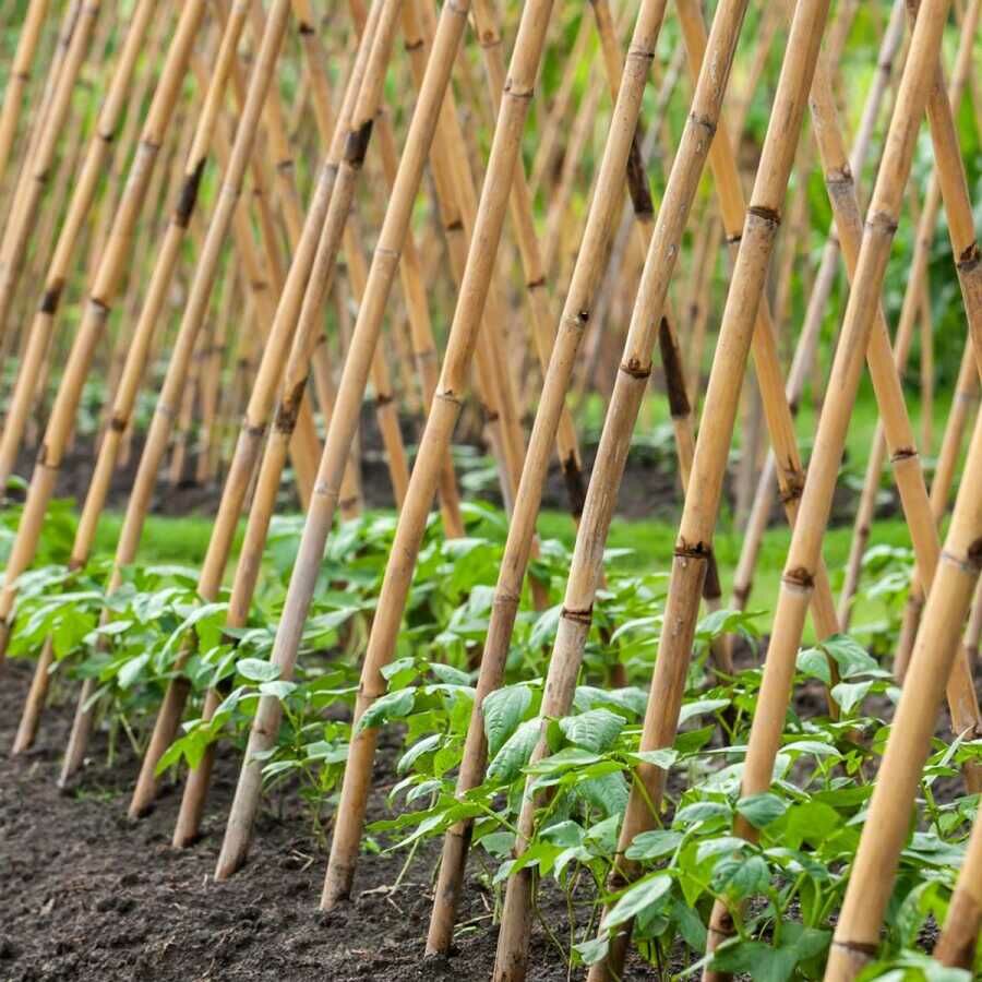 bambu çubuk 10adet 140cm