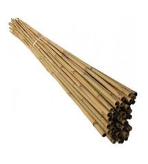 bambu çubuk 10adet 160cm
