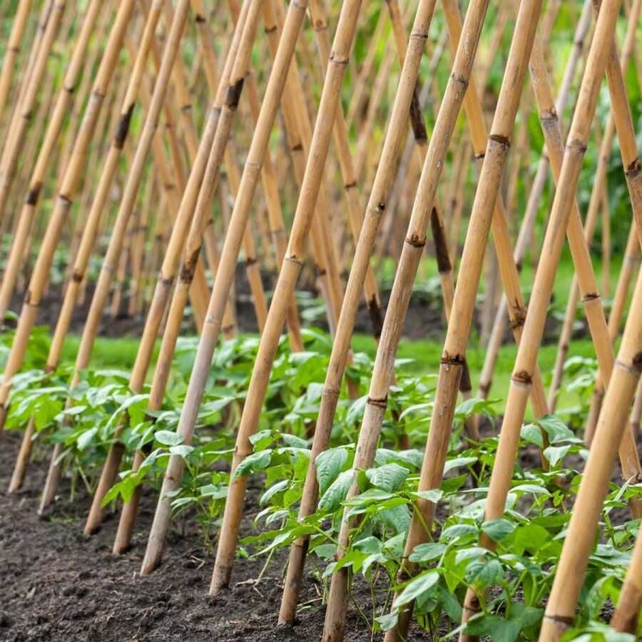 bambu çubuk 10adet 200cm