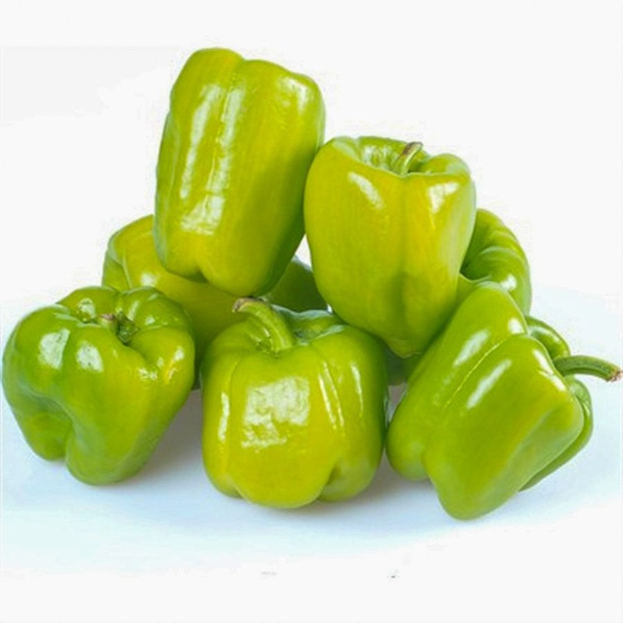 Beyaz Kandil Dolma Biber Tohumu-10 Gram
